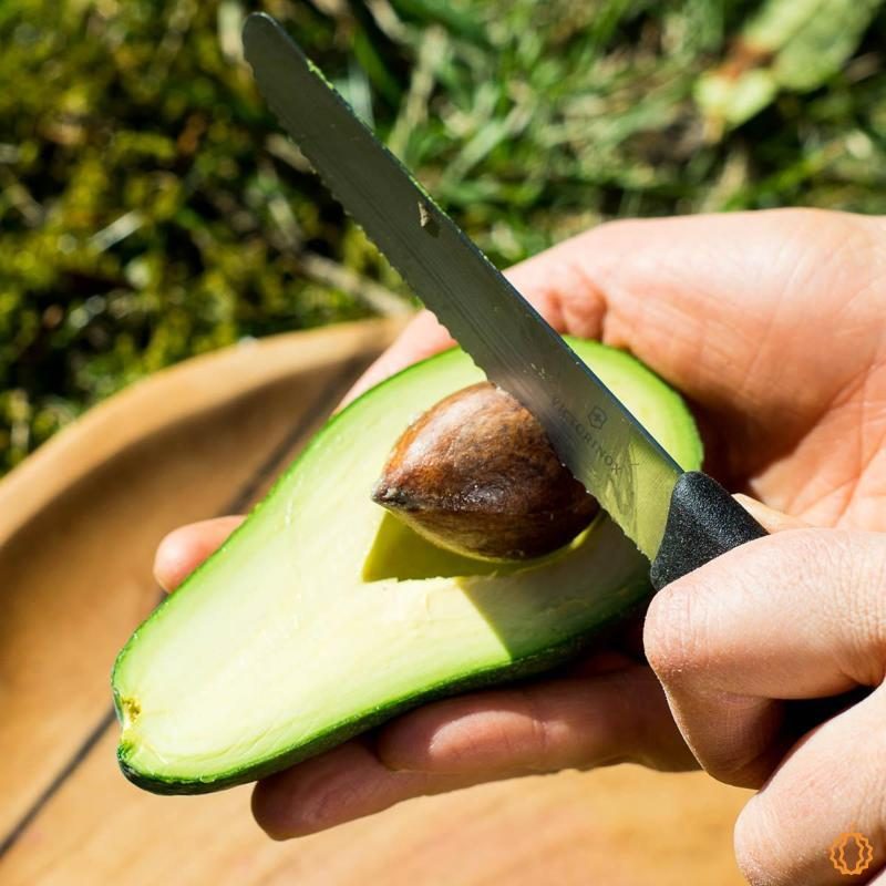 Remove the seed of Avocado Fuerte