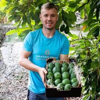 Avocado direct from Iulian early season 5kg