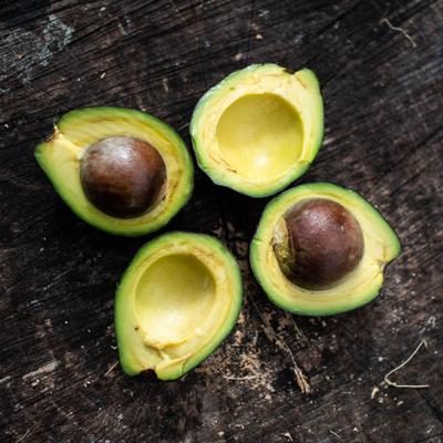 Avocat sauvage de Ricardo bio