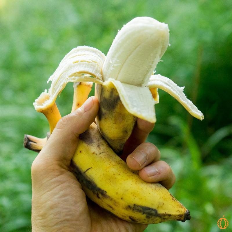 Banane Apfel-Feige