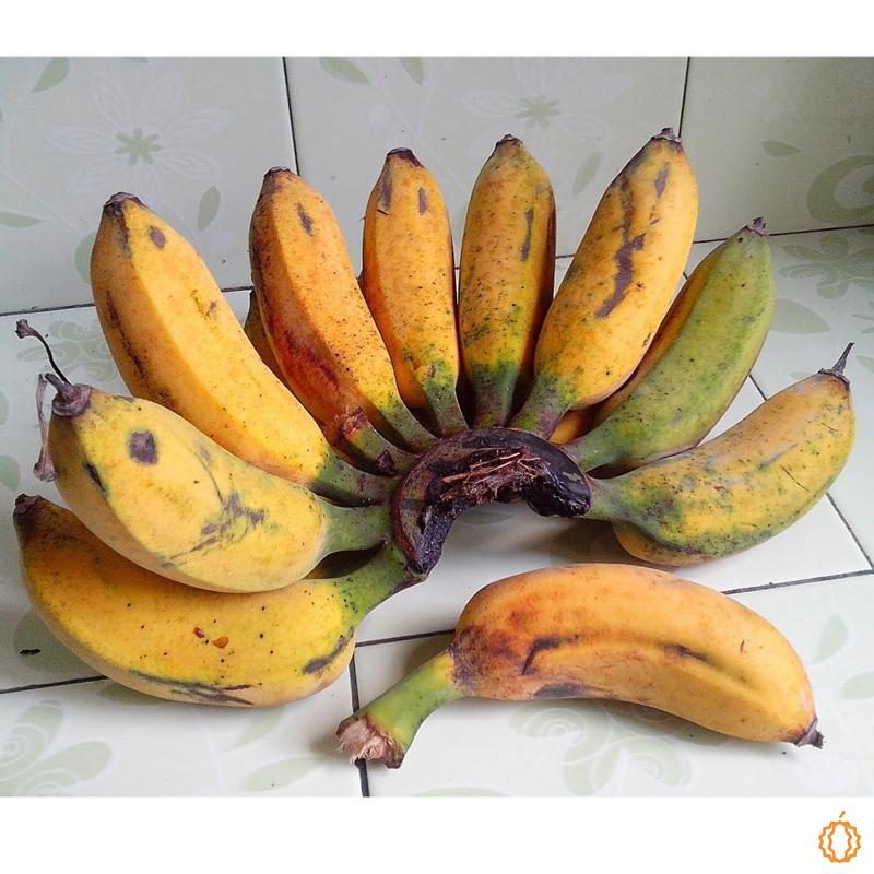 Banana Raja