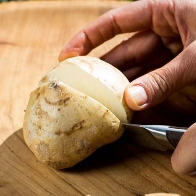 Bengkoang (Jicama)