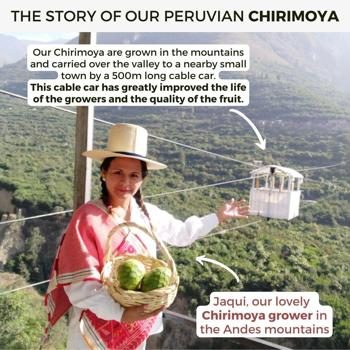 Chirimoya Extra from Peru