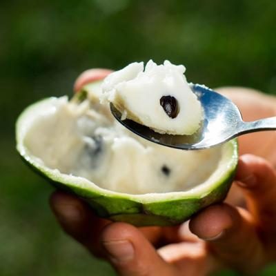 Cherimoya bio