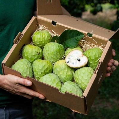 Cherimoya direkt von Iulian bio 4,5kg | Vsl. Lieferung 7. Jan. 2025