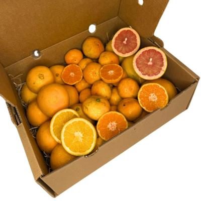 Citrus direct from Iulian organic 5kg