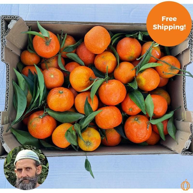 Clementine direct from Rufino organic 5kg