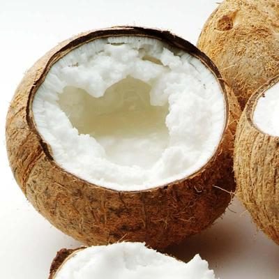 Noix de coco Beurre Macapuno sauvage