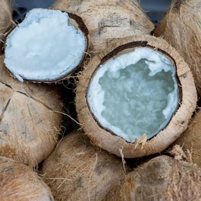 Noix de coco Kopyor bio