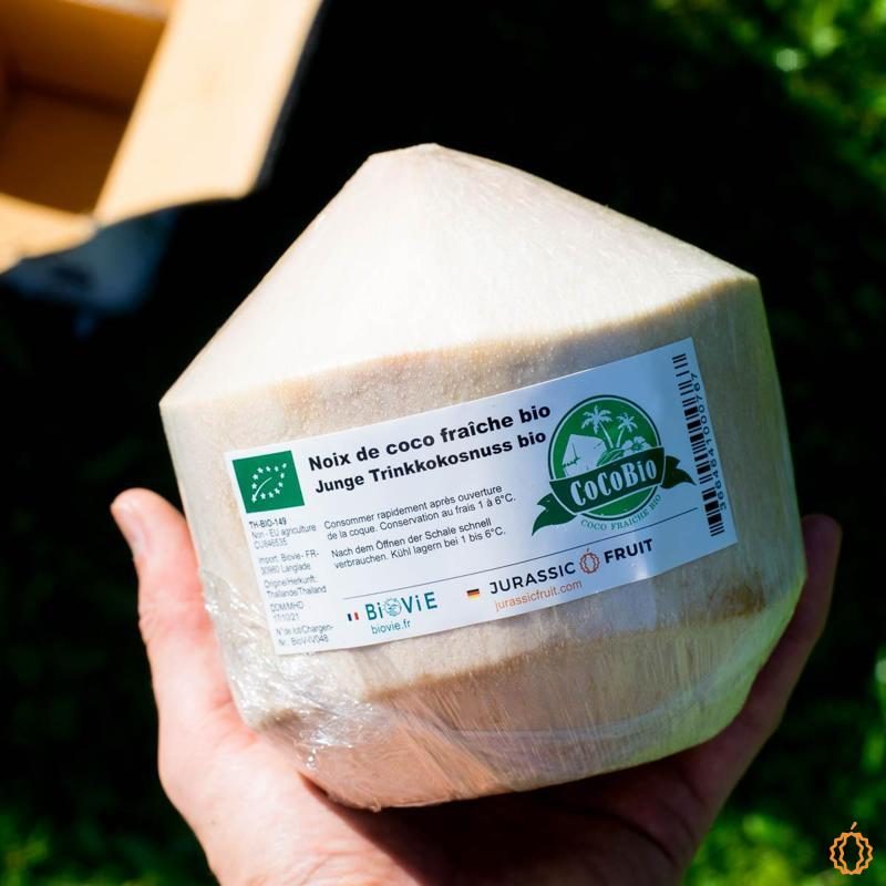 Young Fresh Coconut Pagode organic 1 pc