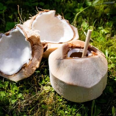 Noix de coco jeune fraîche Pagode