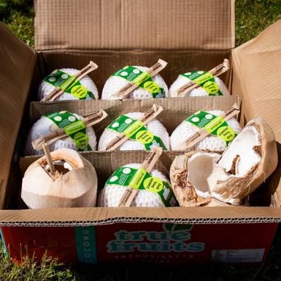 Young Fresh Coconut Pagode | Anti-waste |