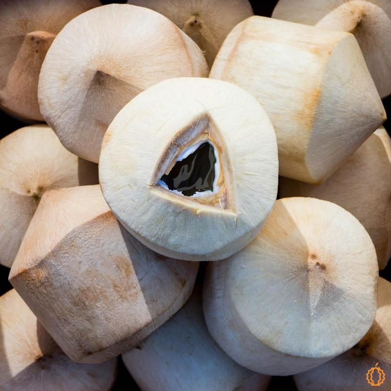 Young Fresh Coconut Pagode box of 9 organic