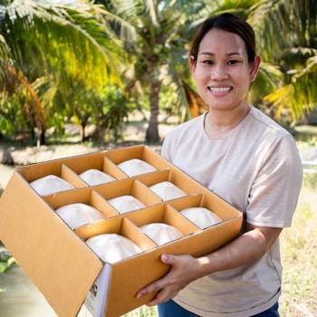 Young Coconut Pagode Farmer Box organic