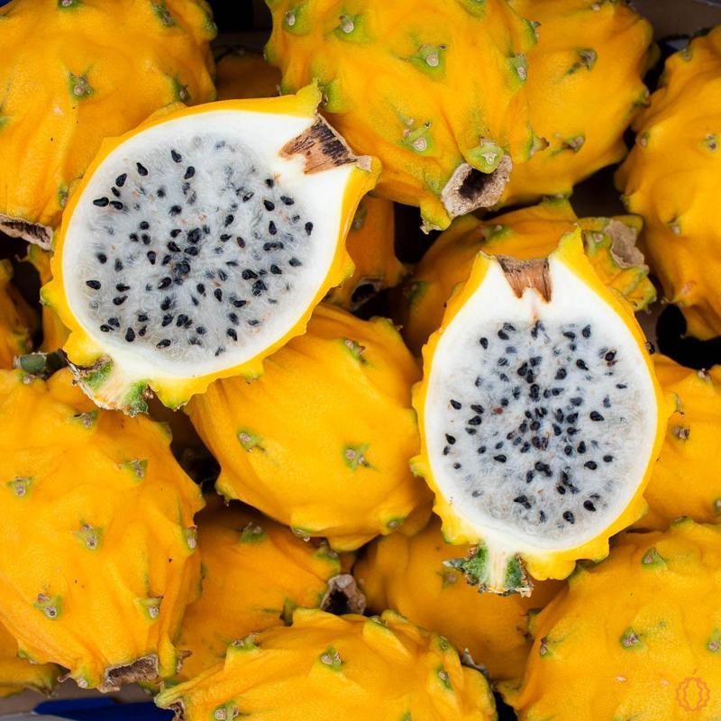 Dragon Fruit (Pitaya) Yellow Sweet
