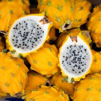 Fruit du Dragon (pitaya) jaune sucré