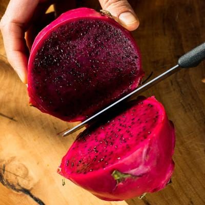 Drachenfrucht (Pitaya) rot bio