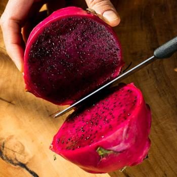 Drachenfrucht (Pitaya) rot