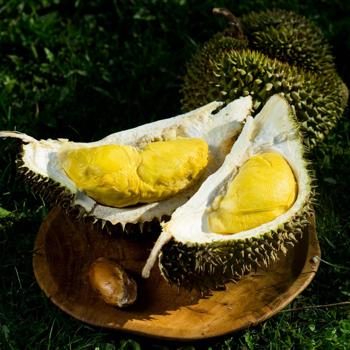 Durian Kahn Yao en fruit entier