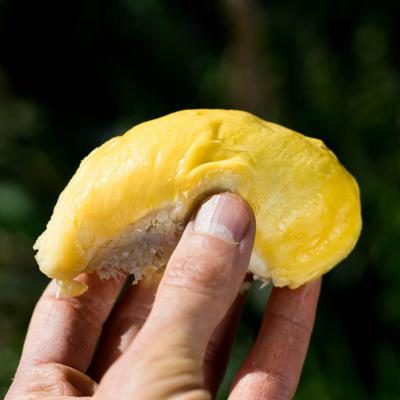 Durian Kan Yao geschält 500g