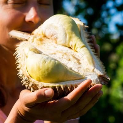 Durian Mon Thong, ganz