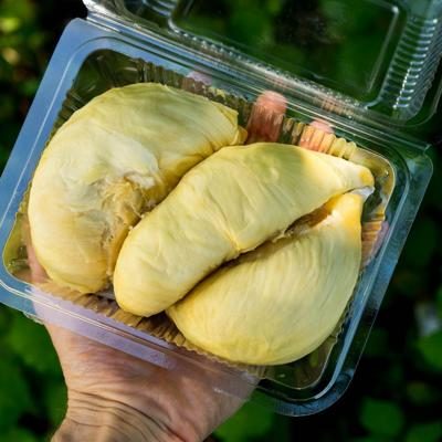 Durian Mon Thong décortiqué 500g | pré-commande livrai. est. 28. mai |