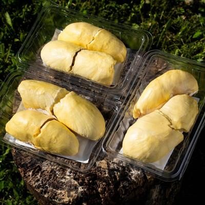 Durian Mon Thong décortiqué 3x500g
