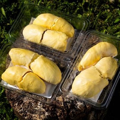 Durian Mon Thong décortiqué 3x500g