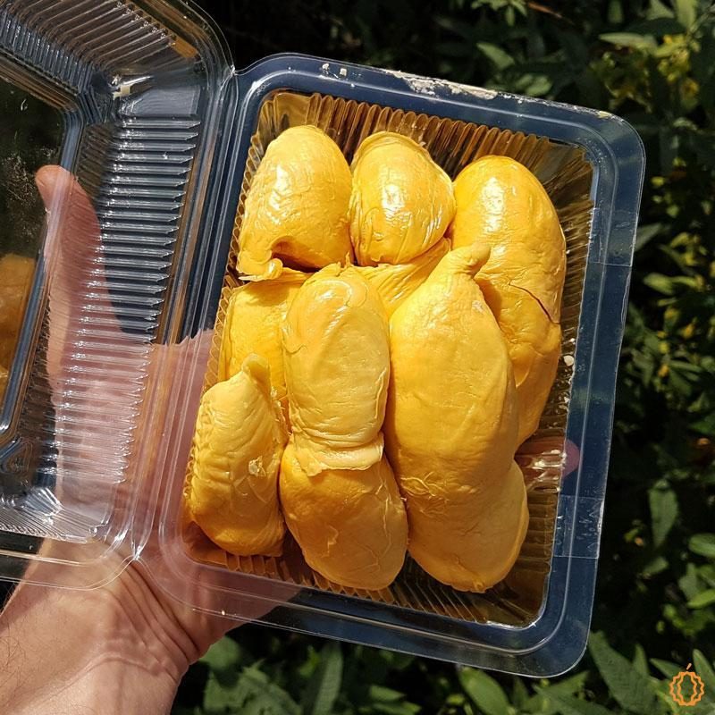Durian Pomanee geschält