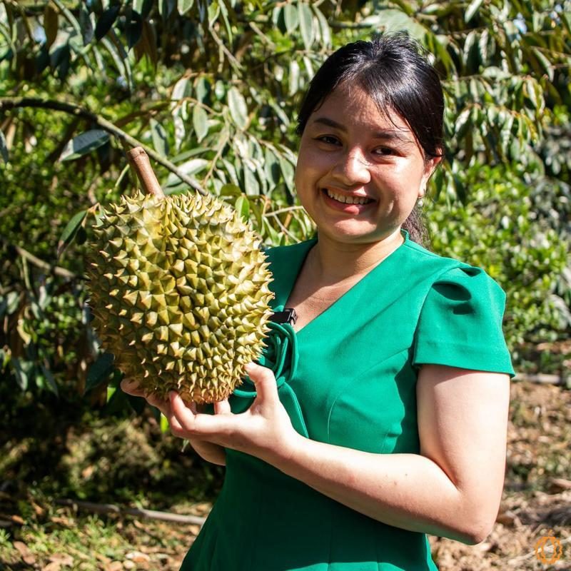 Durian Ri Sao en fruit entier 2-3kg (1 p.)