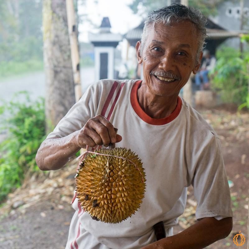 Durian sauvage