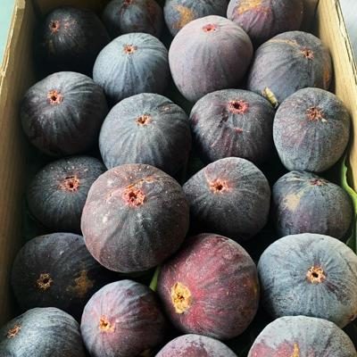 Fresh fig black (recommended only for 1 day delivery time)
