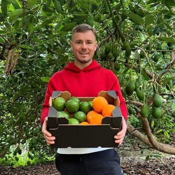 Orange Avocado direct from Iulian organic 10kg