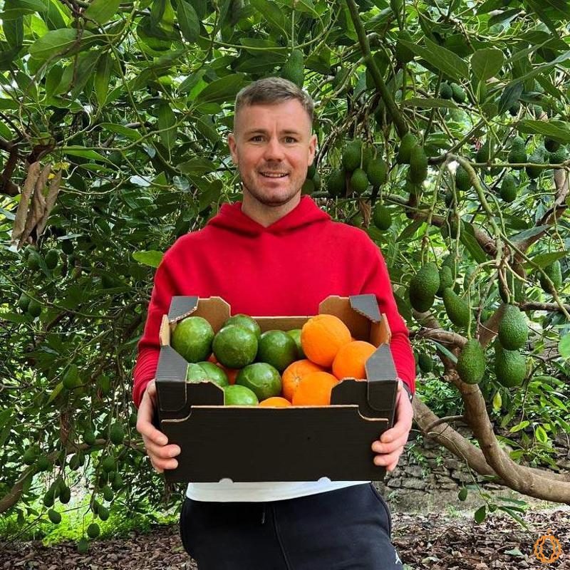 Orange Avocado direct from Iulian organic 10kg