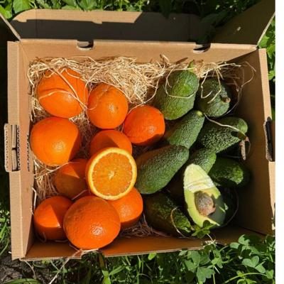 Orange Avocado direkt bio von Iulian 5kg