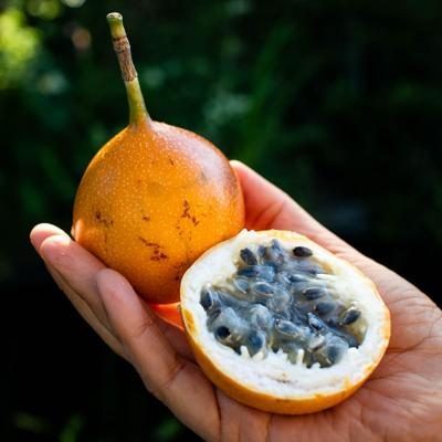 Sweet Granadilla