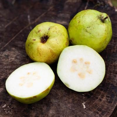 Guava White organic