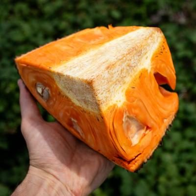 Jackfruit red ripe Suria cut