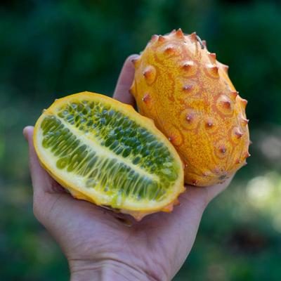 Kiwano