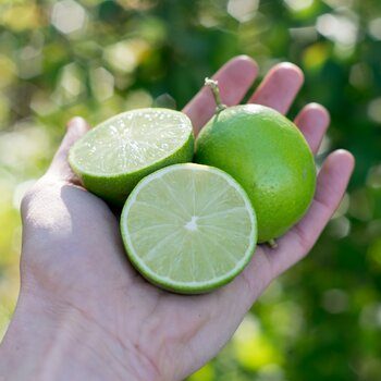 Lime organic