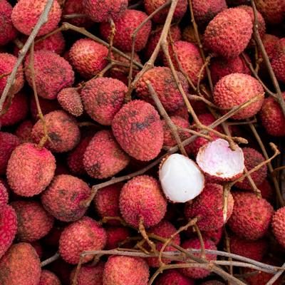 Lychee organic