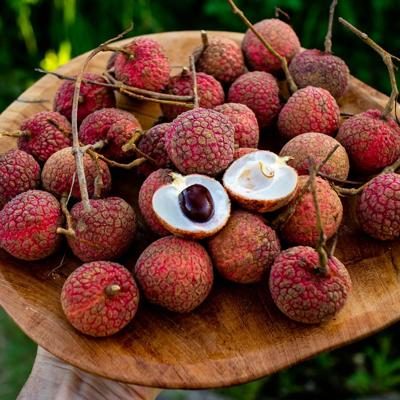 Lychee