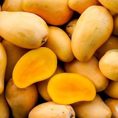 Mango Honig Ataulfo bio