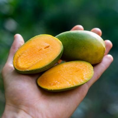 Mango Duseri
