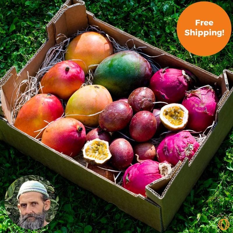 Mango & Drachenfrucht Farmer Box from Rufino 5kg
