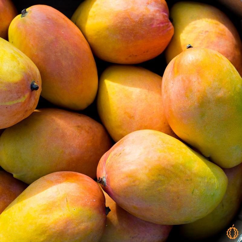 Mango Edward organic | Bestseller