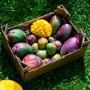 Mango Farmer Box