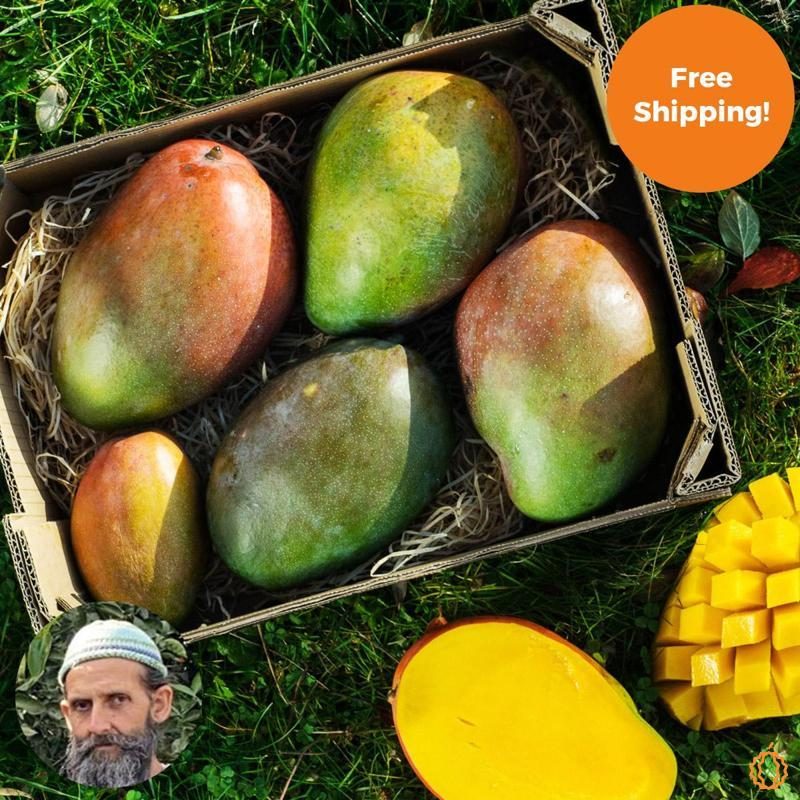 Mango direct from Rufino 5kg