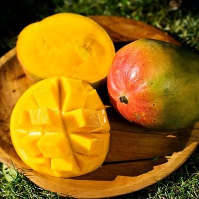 Mango Kent bio