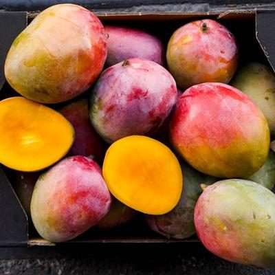 Mango Kent organic